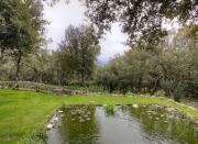 Top Moltifao