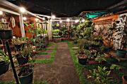 Top Bandung