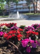 Top Porto Santa Margherita di Caorle