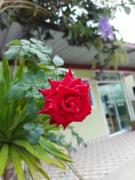 Top Chumphon