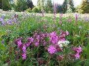 Top Sankt Andreasberg