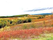 Top Villarzel-du-Razès