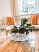 Exquisites Übernachten in der ältesten Stadt Österreichs