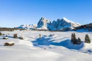 Top Alpe di Siusi