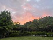 Soul Sync Sanctuary formally Hacienda la Moringa