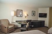 Top Fort Collins