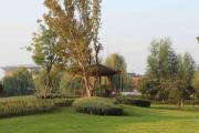 Top Qufu