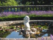 Top Dolgellau Top Dolgellau