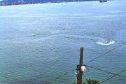 Top Manzanillo