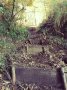 Top Queilén Top Queilén