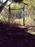 Top Queilén Top Queilén