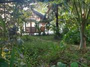 Top Bocas del Toro