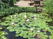 Top Khmelʼnytsʼkyy Top Khmelʼnytsʼkyy