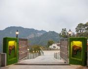Top Mussoorie