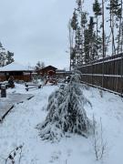 Top Bila Krynytsya Top Bila Krynytsya