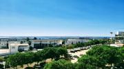 Top Faro