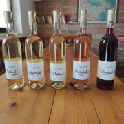 Top Velké Pavlovice