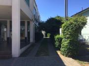 Top Constitución Top Constitución