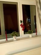 Top Sinaia Top Sinaia