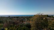 Top Torre Pali