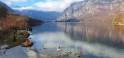 Top Bohinj