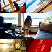 Top Olsztyn Top Olsztyn