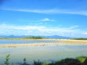 Estaleiro das Artes.