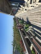 Top Amagansett