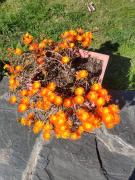 Top General Juan Madariaga