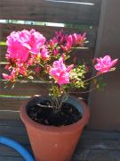 Top General Juan Madariaga