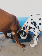 Top Zambujeira do Mar Top Zambujeira do Mar