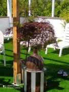 Kristalex Pet Family Hotel