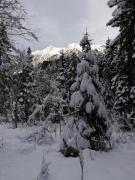 Top Flachau