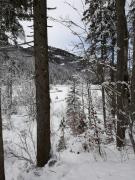 Top Flachau