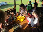 Top Jastrzębia Góra