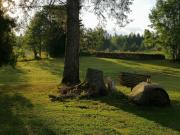 Top Mõksi Top Mõksi