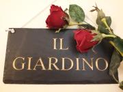 Top Tavullia Top Tavullia