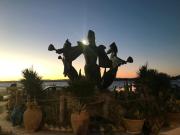 Top Hammamet