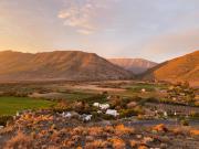 The Olive House, Prince Albert