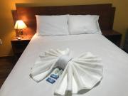 Top Três Corações