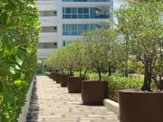 Top Cartagena de Indias