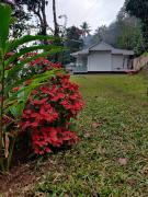 Top Munnar