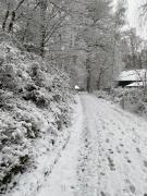 Top Bad Bentheim Top Bad Bentheim