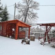 Top Satu Mare Top Satu Mare