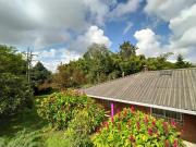 Top Pereira Top Pereira