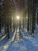 Top Rydzewo Top Rydzewo