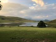 Top Underberg