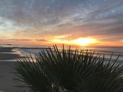 Top Sant Carles de la Ràpita