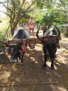 Pura noche - El Elote