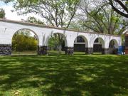 Top Parras de la Fuente